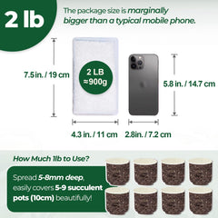 T4U crushed clear quartz chips 2lb irregular shapes in pots enhance tropical plant aesthetics.