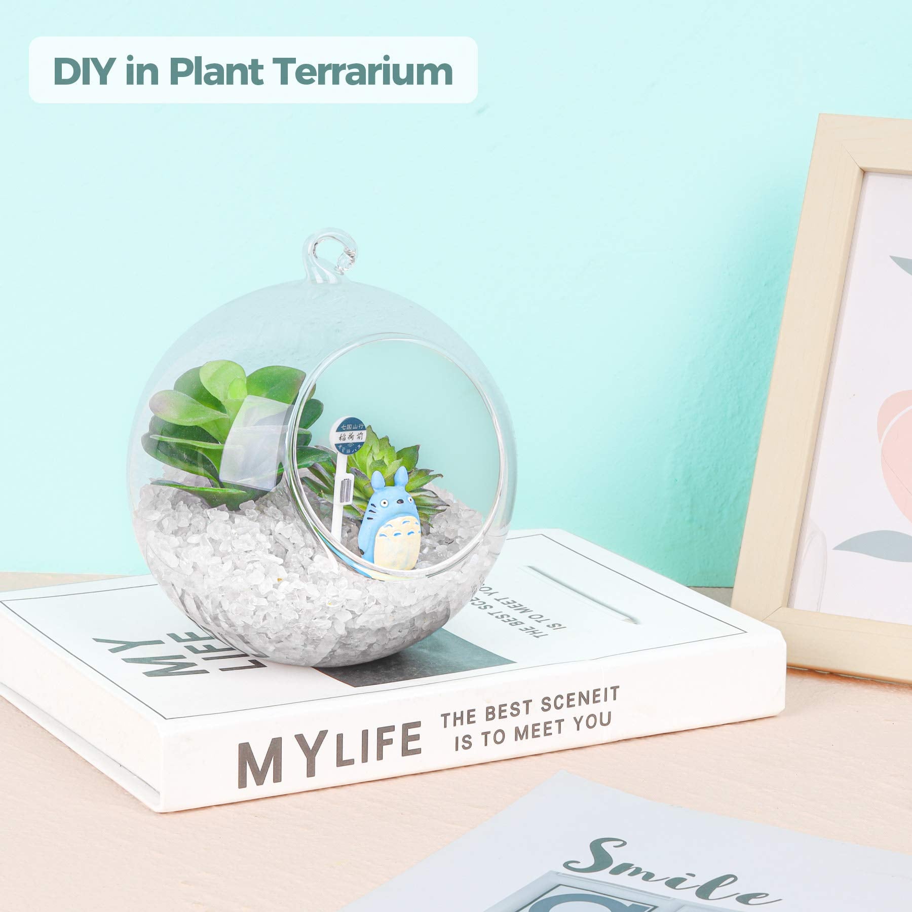 T4U crushed clear quartz chips 2lb top dressing enhances drainage while looking chic.