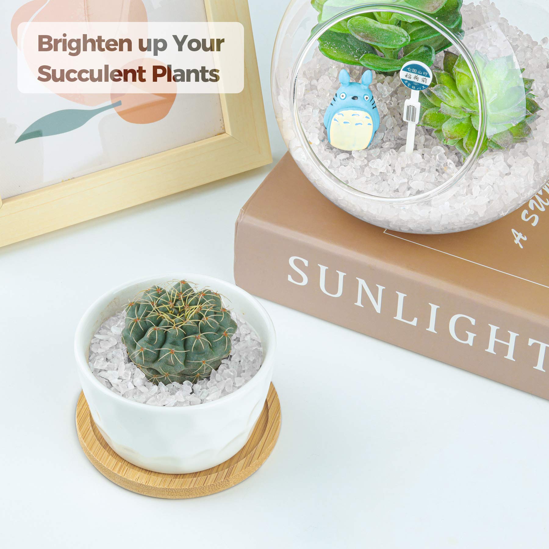 T4U crushed clear quartz chips 2lb vase fillers add sparkle to centerpieces.