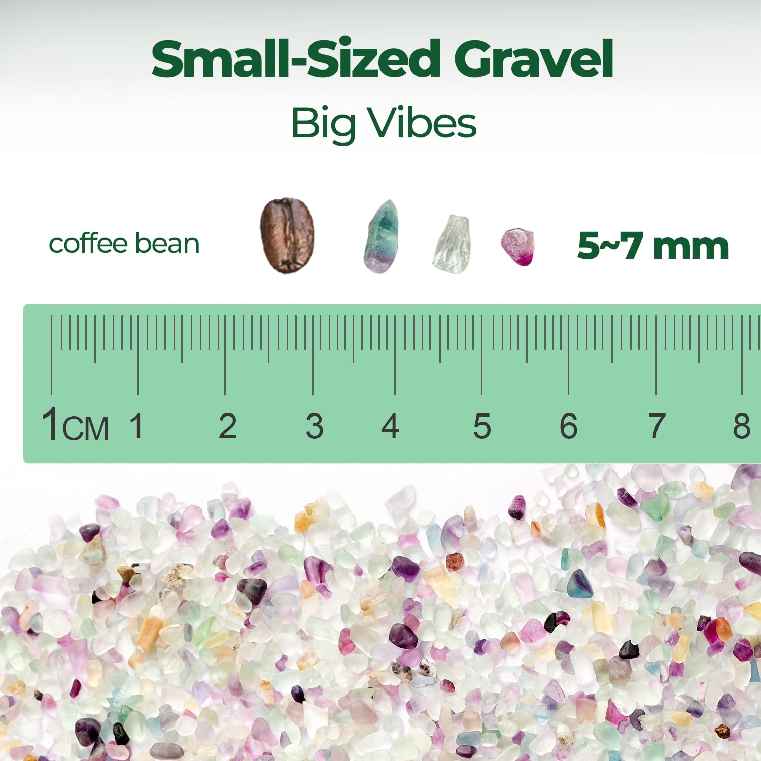 T4U decorative pebbles small rocks arranged for vase fillers and terrariums.