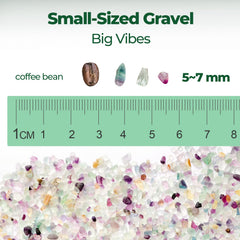 T4U decorative pebbles small rocks arranged for vase fillers and terrariums.