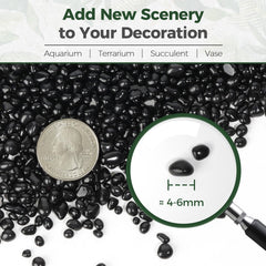 T4U black polished pebbles macro shot, premium plant topper for chic indoor planters.