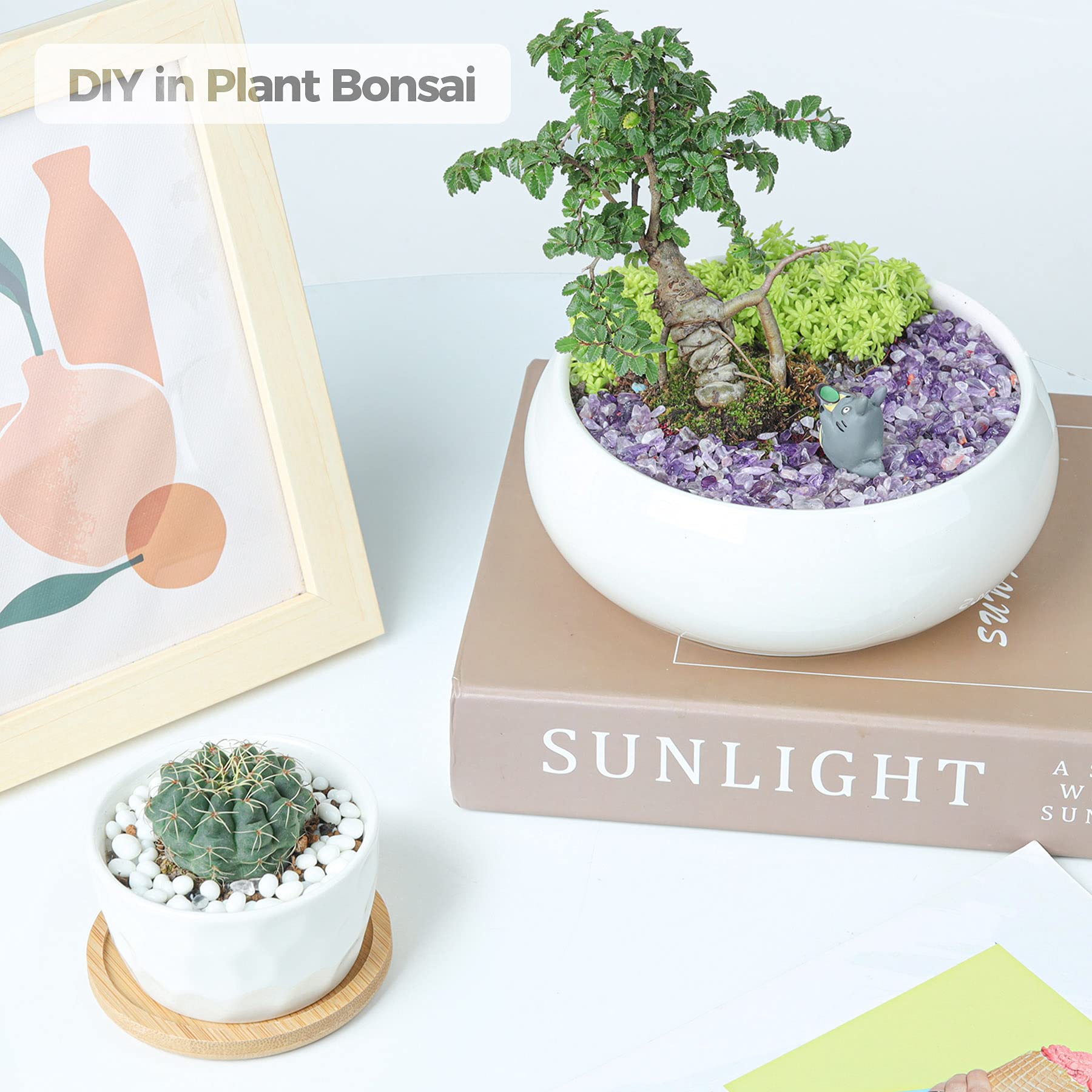 T4U wish bottle stones for indoor decor and crafts