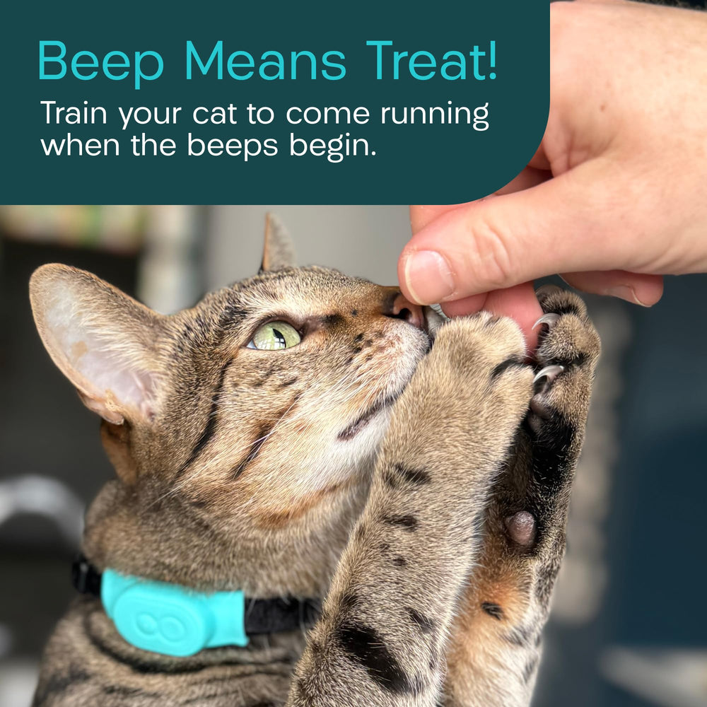 TabCat V2 beeper-signal indicator supports training cats to return home.