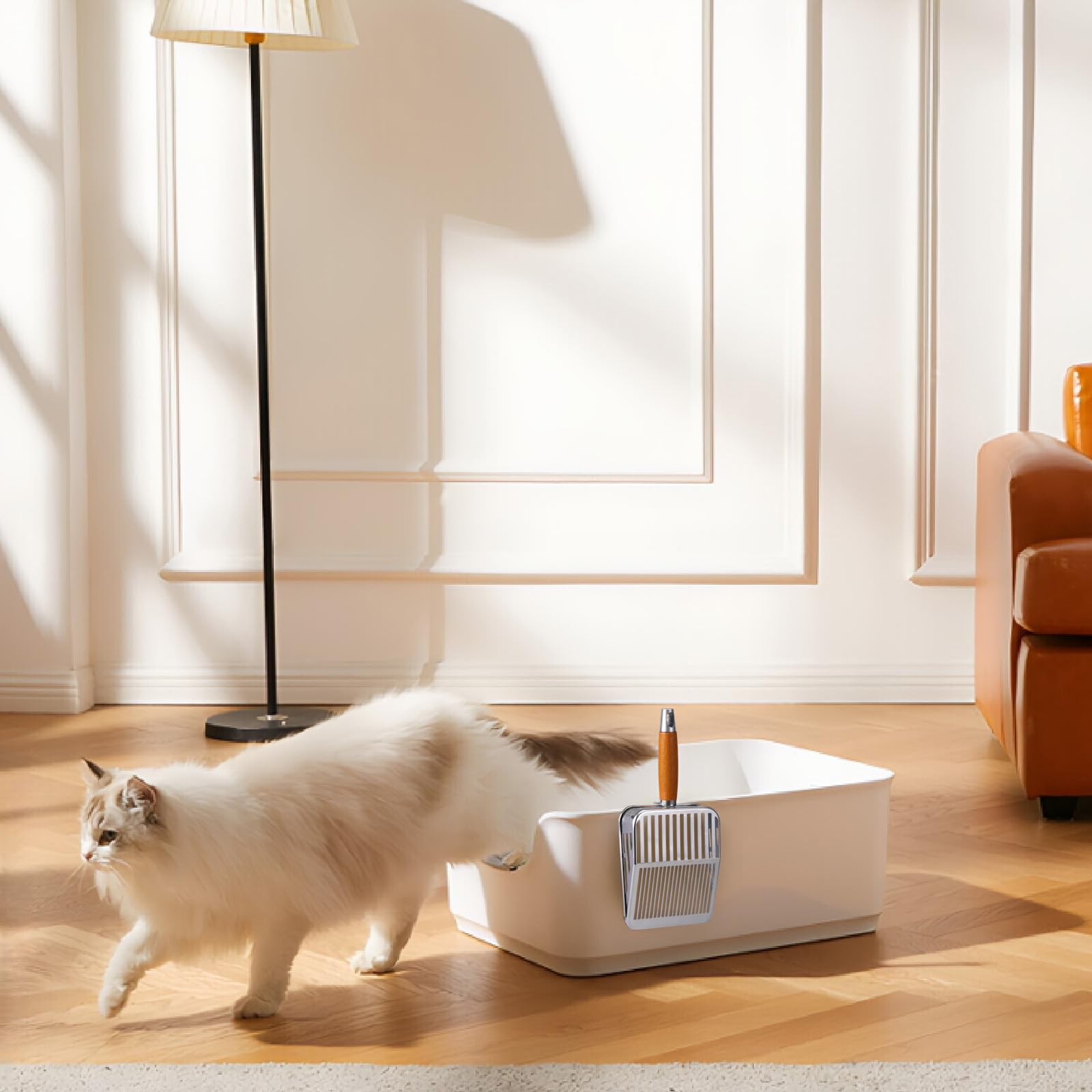 TabifurKitc storage-hook-design keeps scoop neatly dry after cleaning.