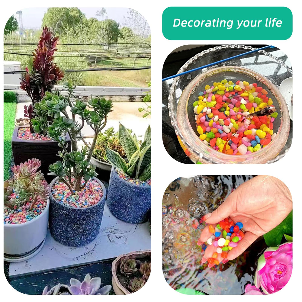 TACOLO Green Pebbles on succulent planters elevate look and moisture-friendly decor.
