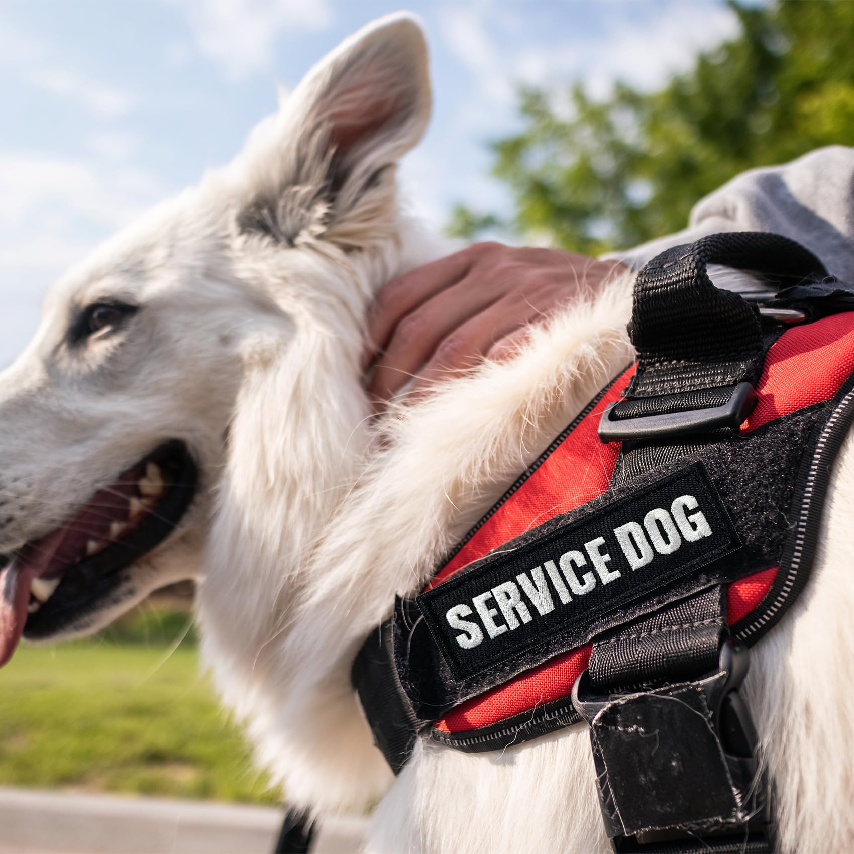 TACVEL service dog vest application suited for harnesses, collars, leashes and backpacks.