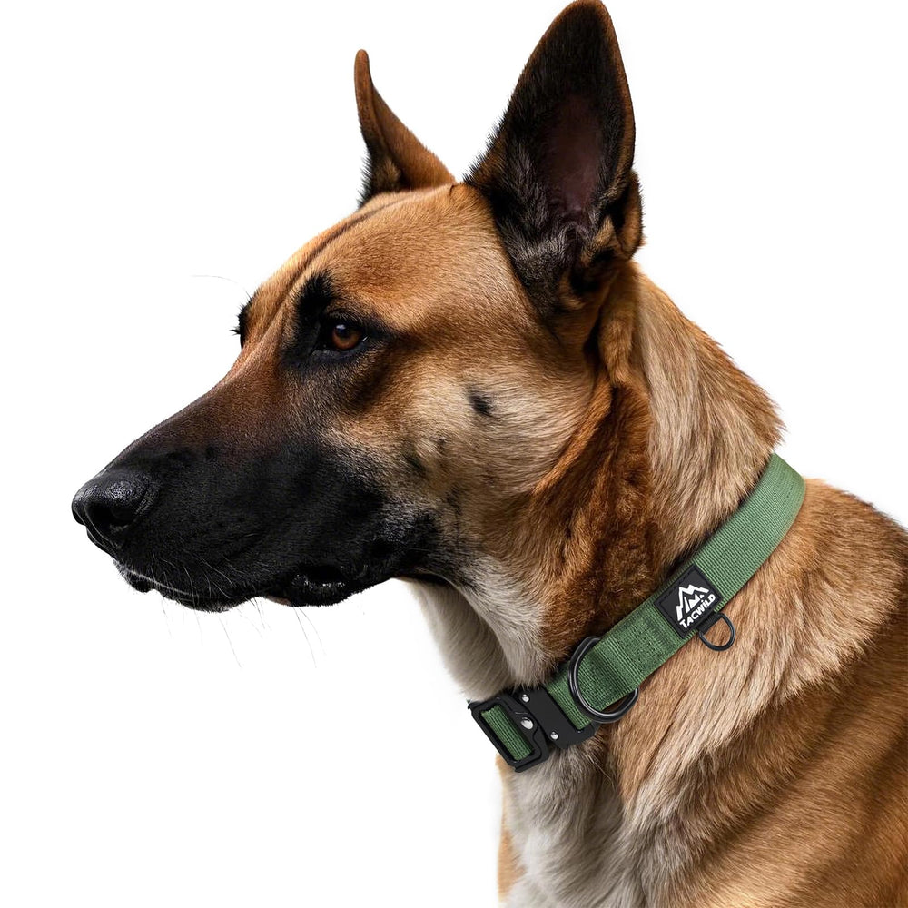 Tacwild durable collar suitable for training, walking, and hiking with large dogs.