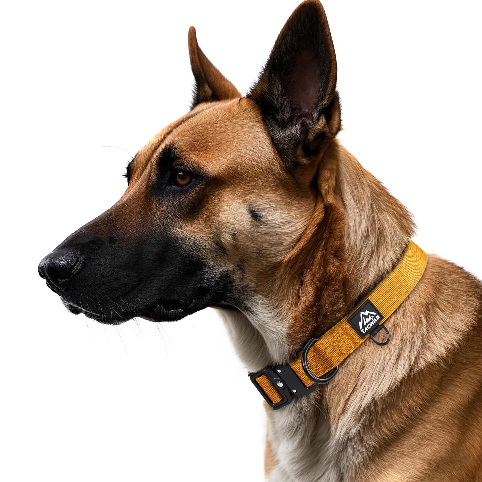 Tacwild heavy-duty dog collar turmeric yellow buckle closeup, quick-release for easy on/off