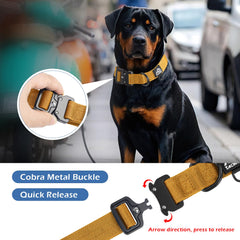 Tacwild heavy-duty dog collar turmeric yellow D-ring closeup for leash and tags