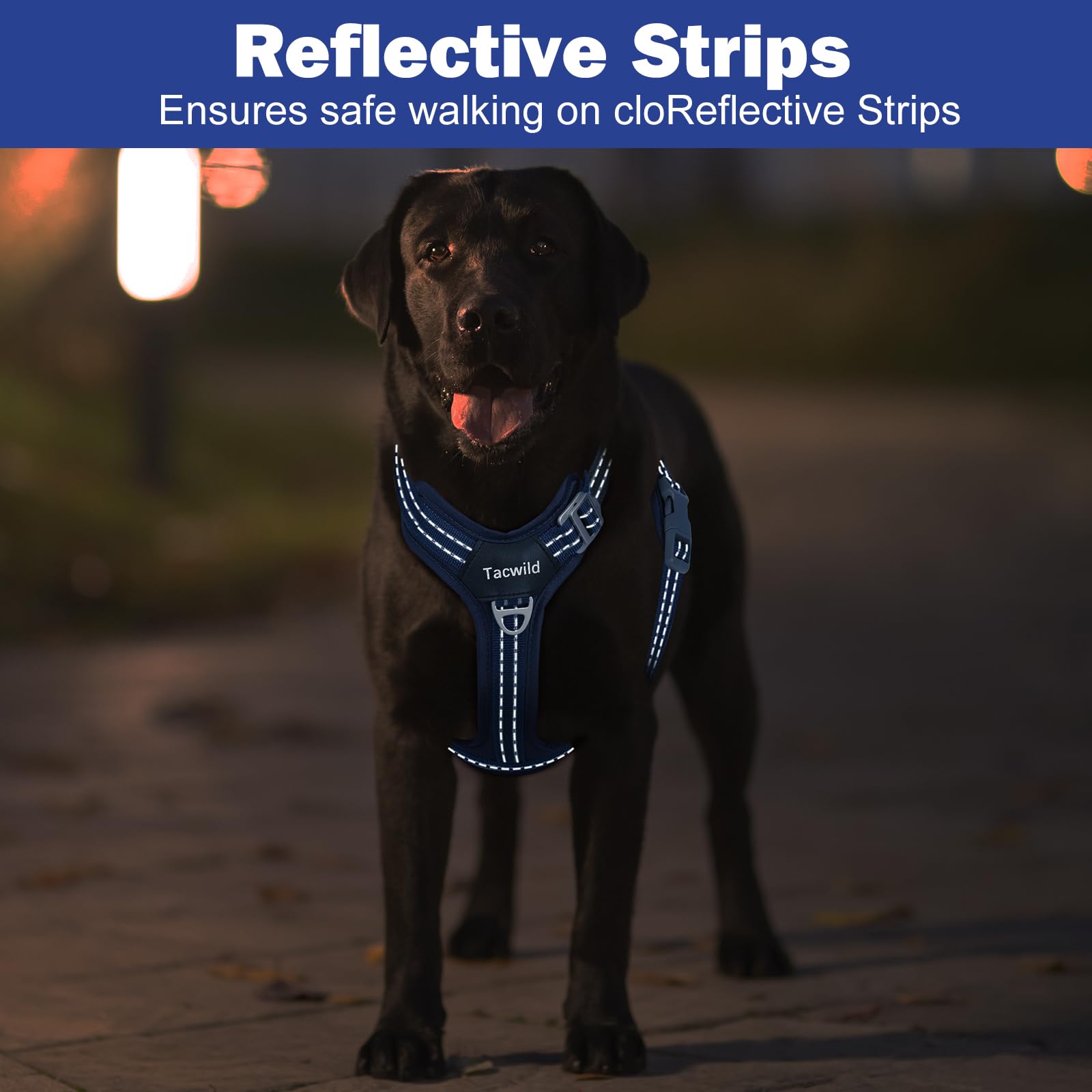Tacwild No Pull Harness blue aluminum hardware resists rust for durable performance.