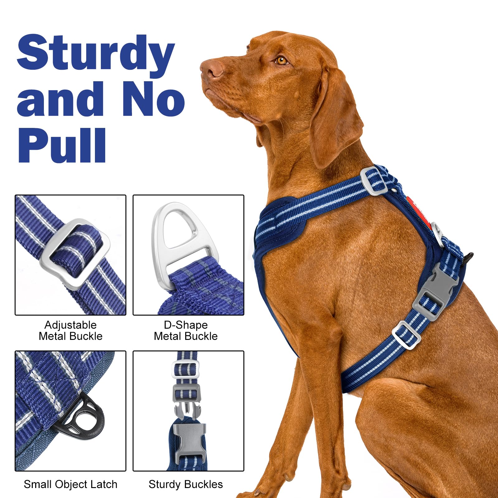 Tacwild No Pull Harness blue care instructions for easy maintenance.
