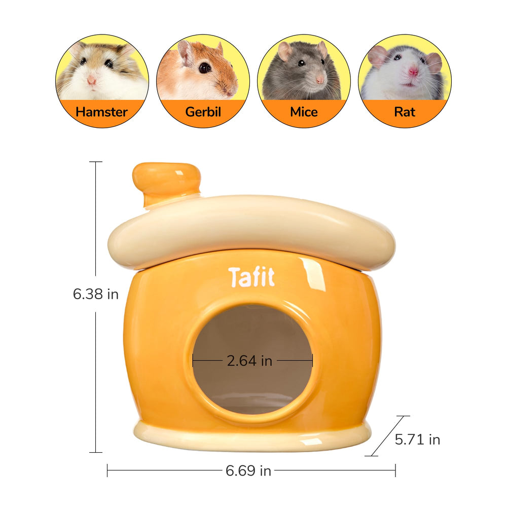 tafit Ceramic Igloo Hamster Hideout green color options—bright, cheerful habitat decor
