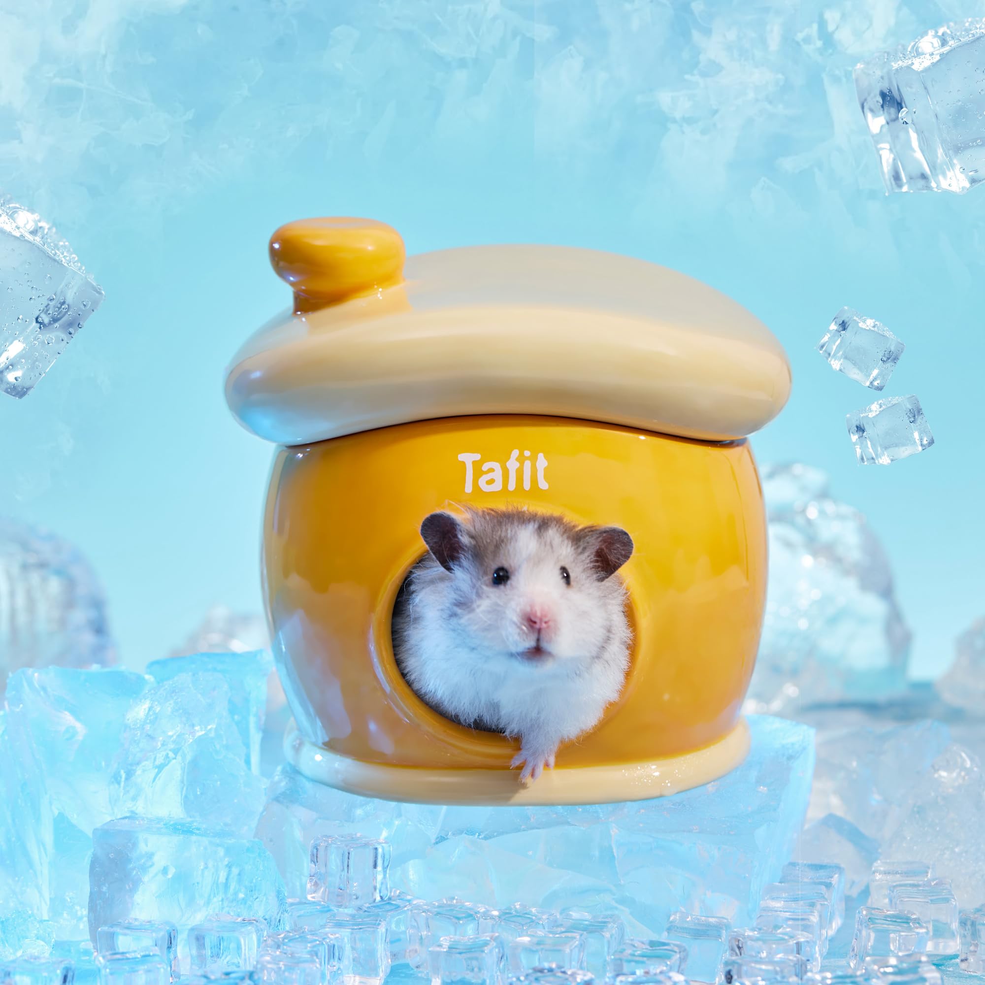 tafit Ceramic Igloo Hamster Hideout green interior—spacious space for small pets