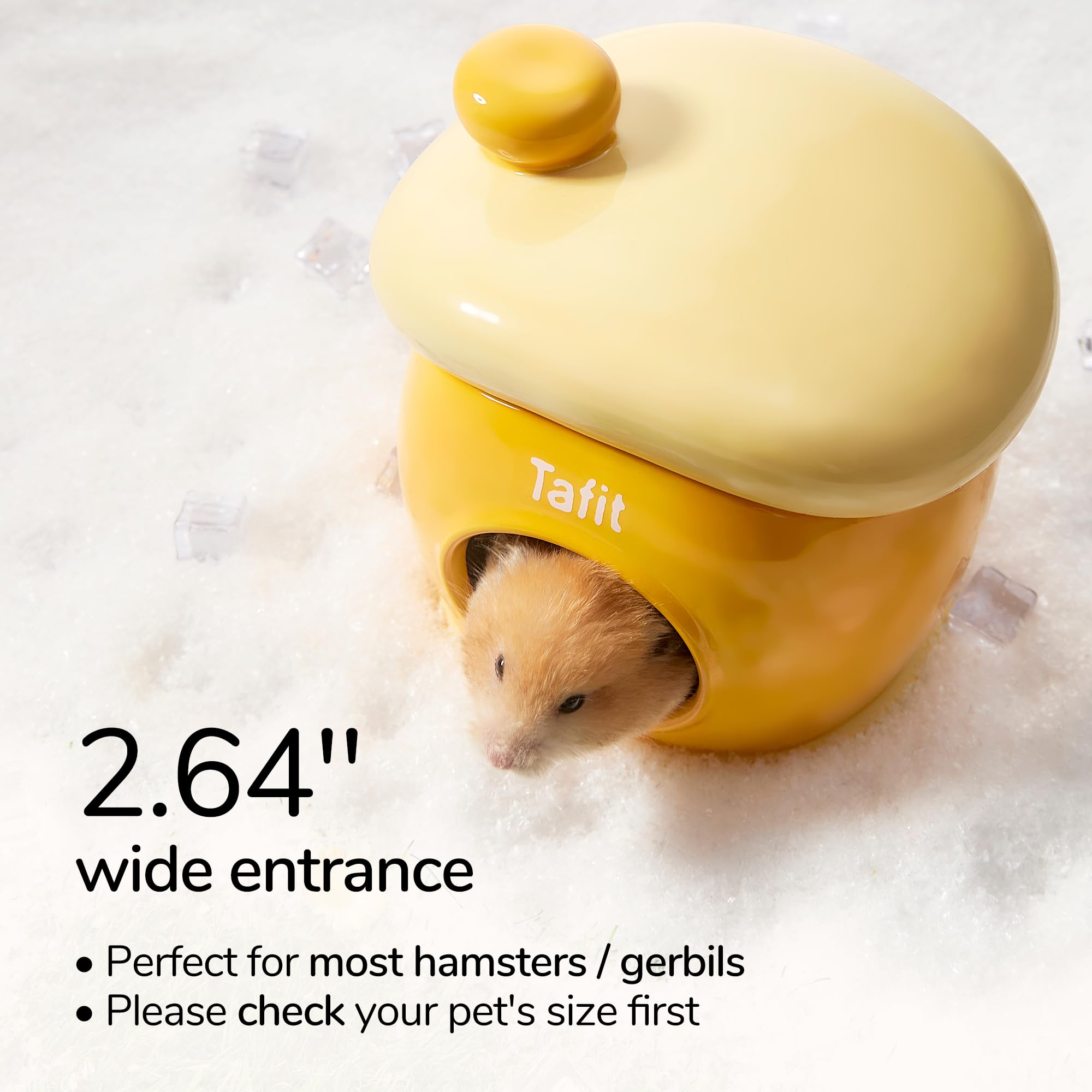 tafit Ceramic Igloo Hamster Hideout green easy-clean glaze—wipe-clean interior