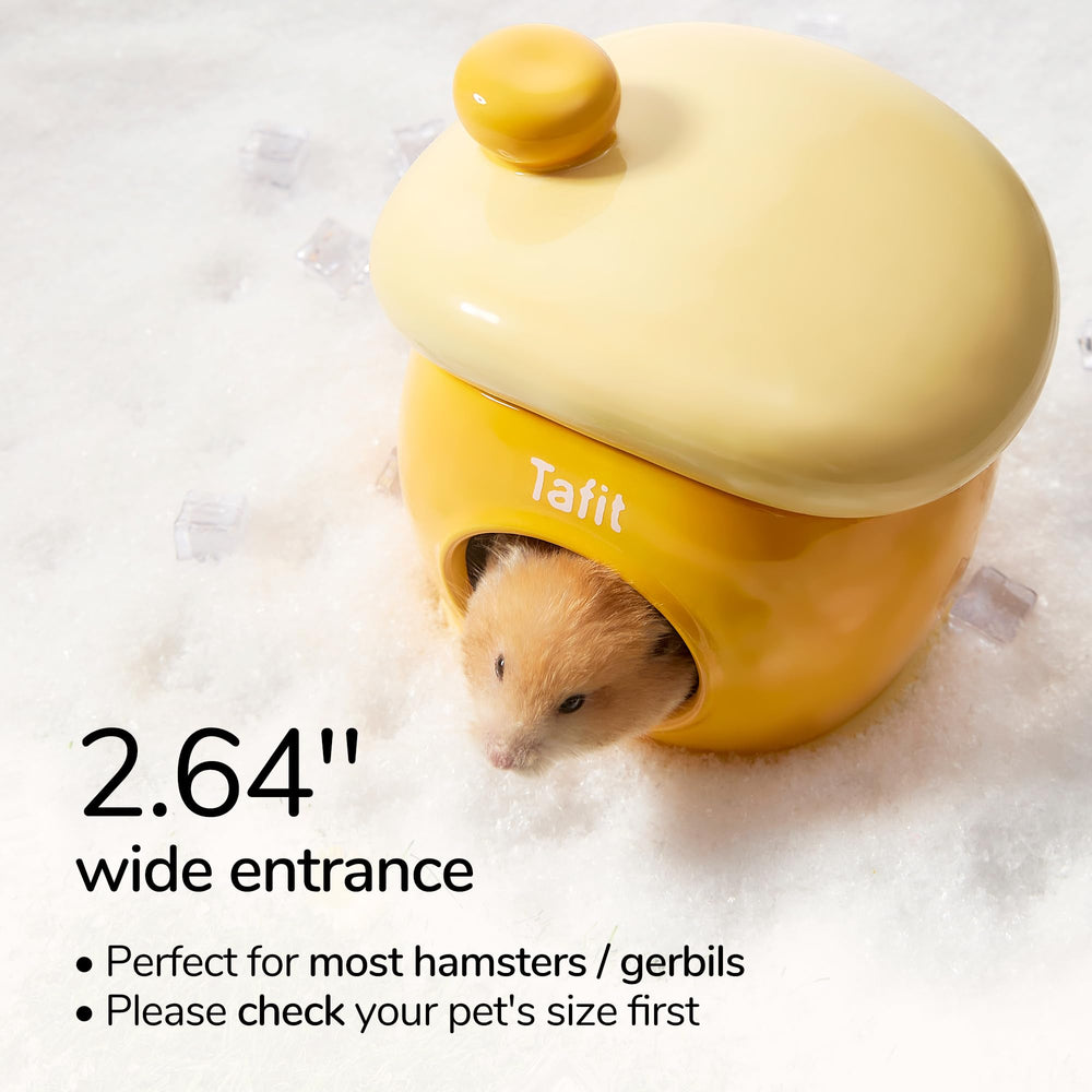 tafit Ceramic Igloo Hamster Hideout green easy-clean glaze—wipe-clean interior
