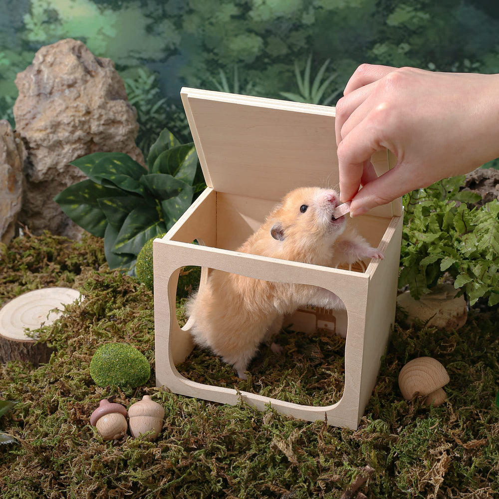 tafit hamster hideout detachable cover simplifies viewing and cleaning.