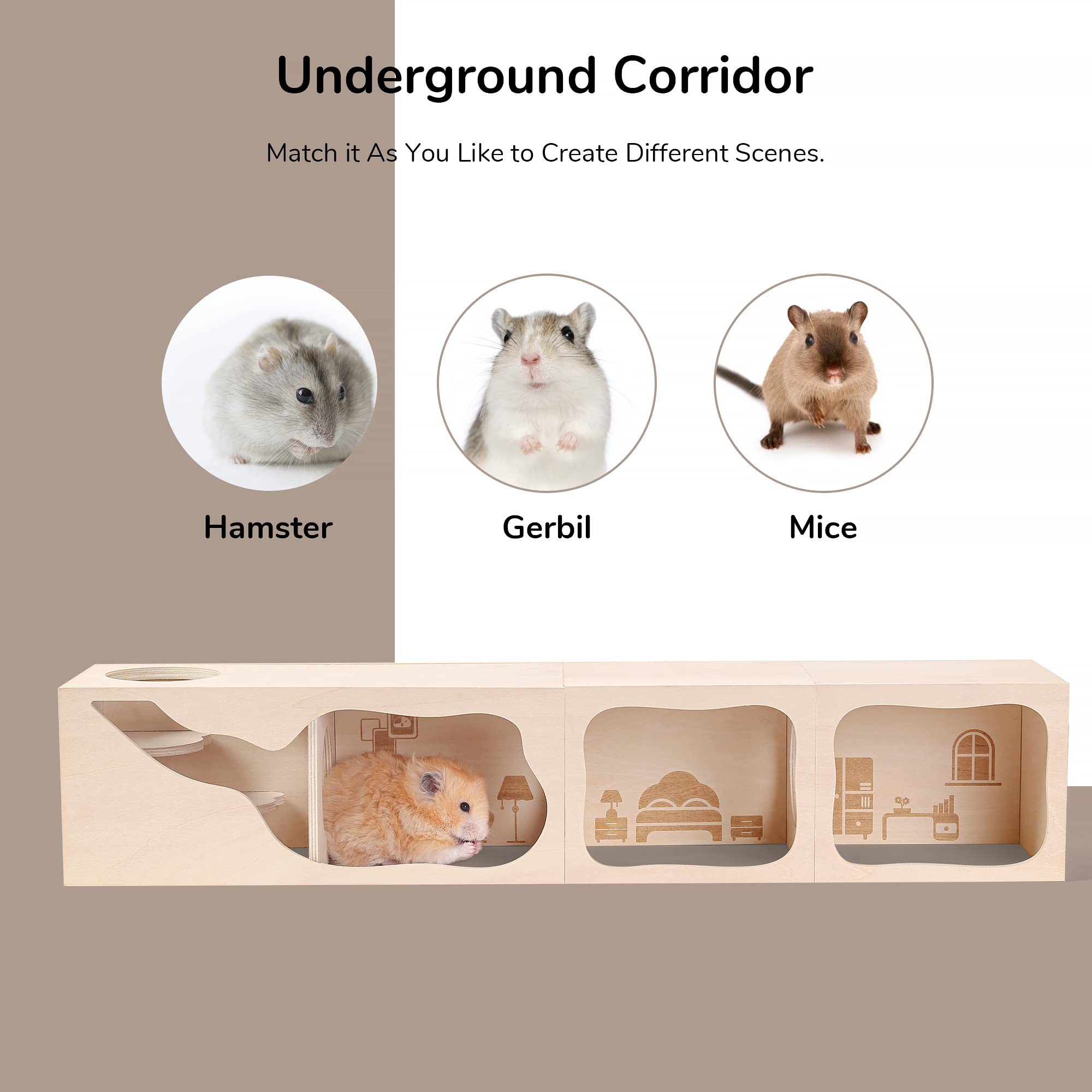 tafit hamster hideout laser pattern study room detail enhances homey vibe.