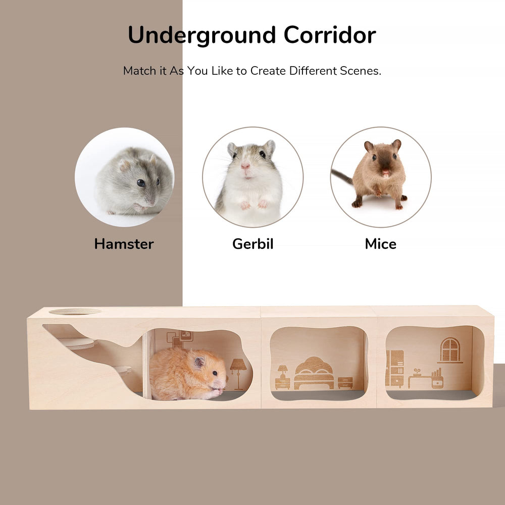 tafit hamster hideout laser pattern study room detail enhances homey vibe.