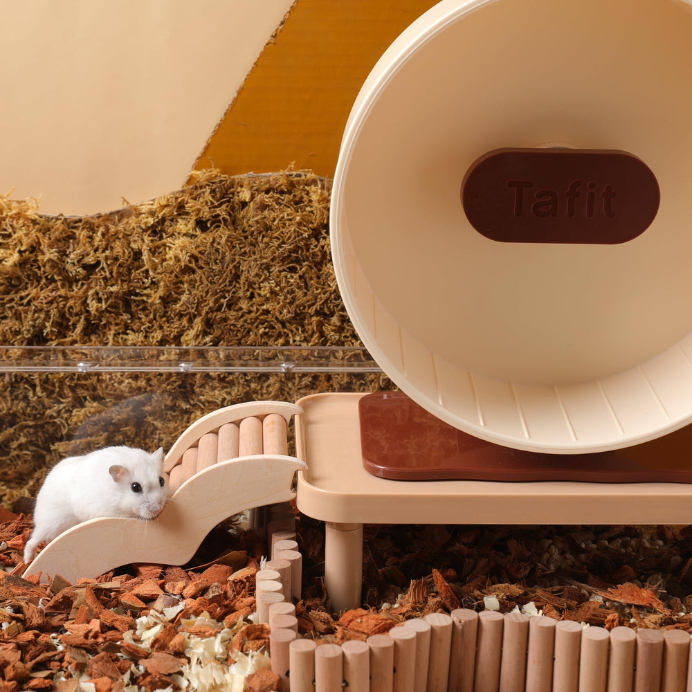 Tafit hamster ladder in cage setup captures enrichment potential for daily activity.