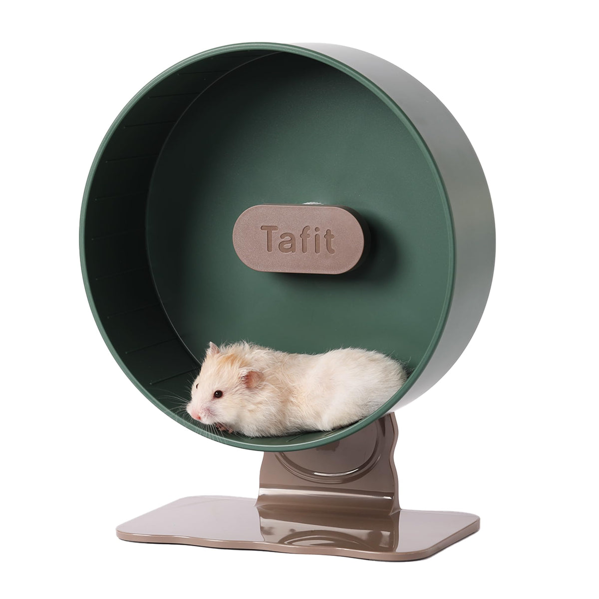 Tafit Quiet Hamster Wheel 10.2-inch diameter provides silent exercise.
