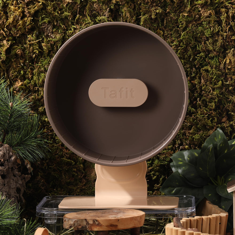 tafit-quiet-hamster-wheel-easy-install-base stresses quick assembly on a stable surface