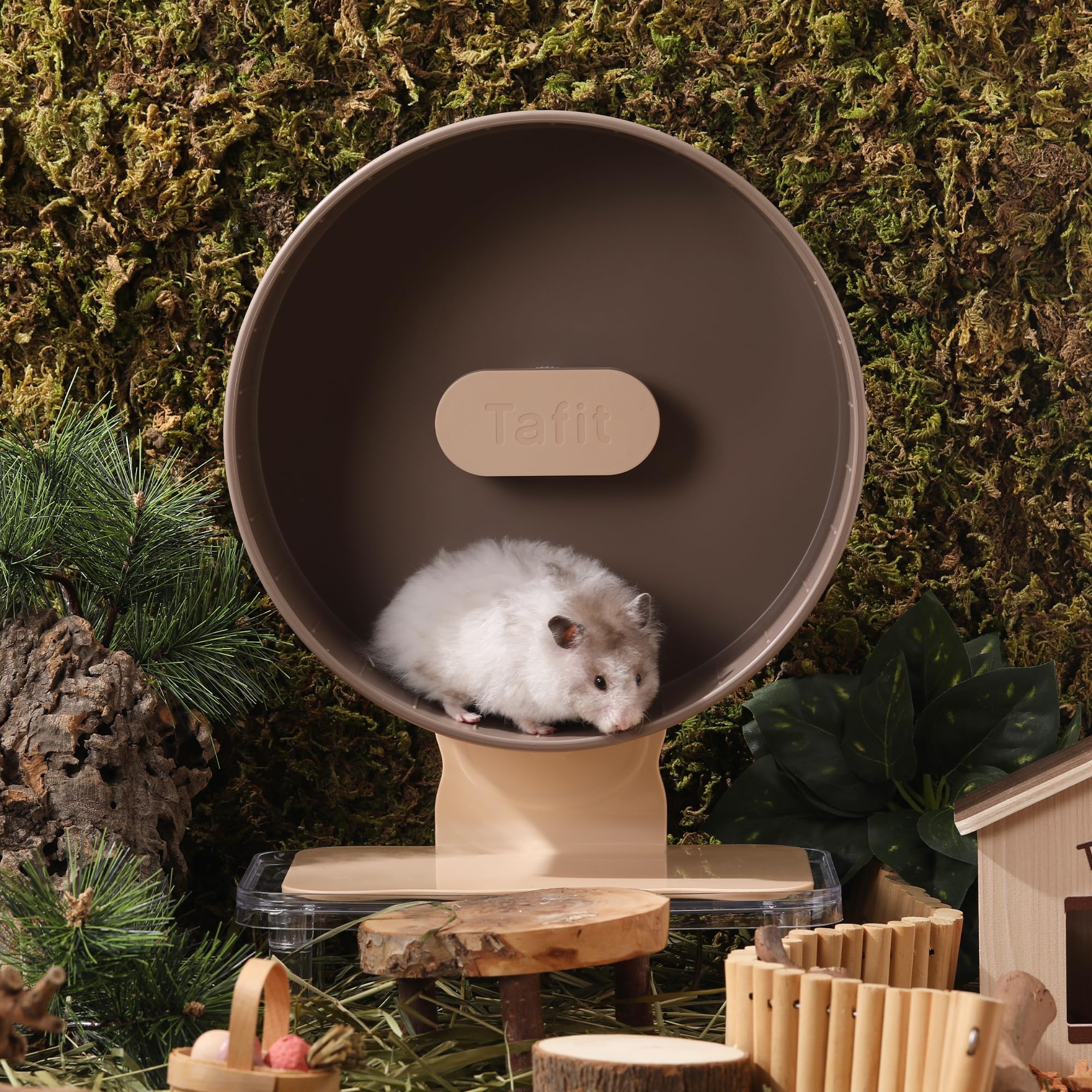 tafit-quiet-hamster-wheel-side-base-view shows stable base for secure setup