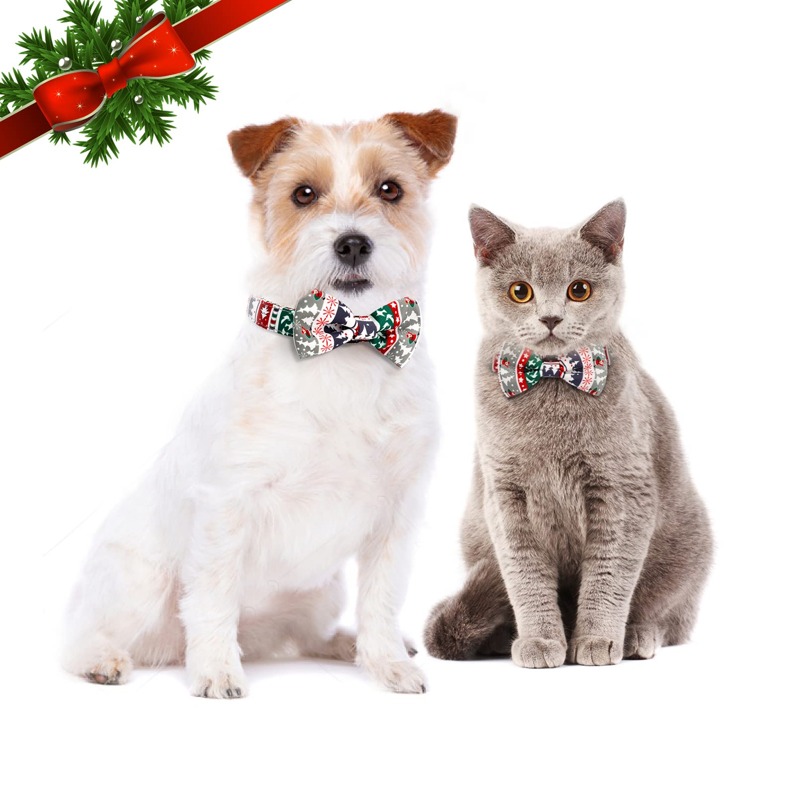 TAGATMI festive collar worn during a party look boosts charm