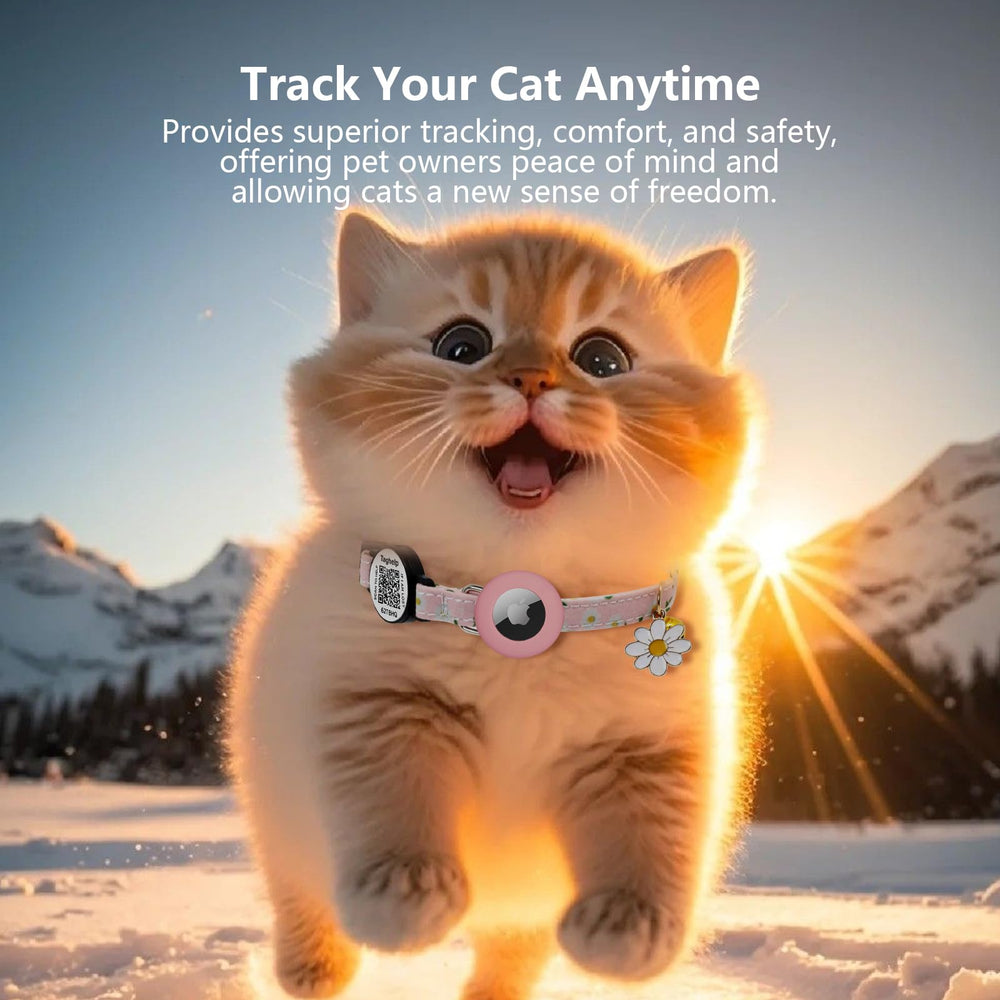 Taghelp safety breakaway collar designed to release under pressure for curious cats.