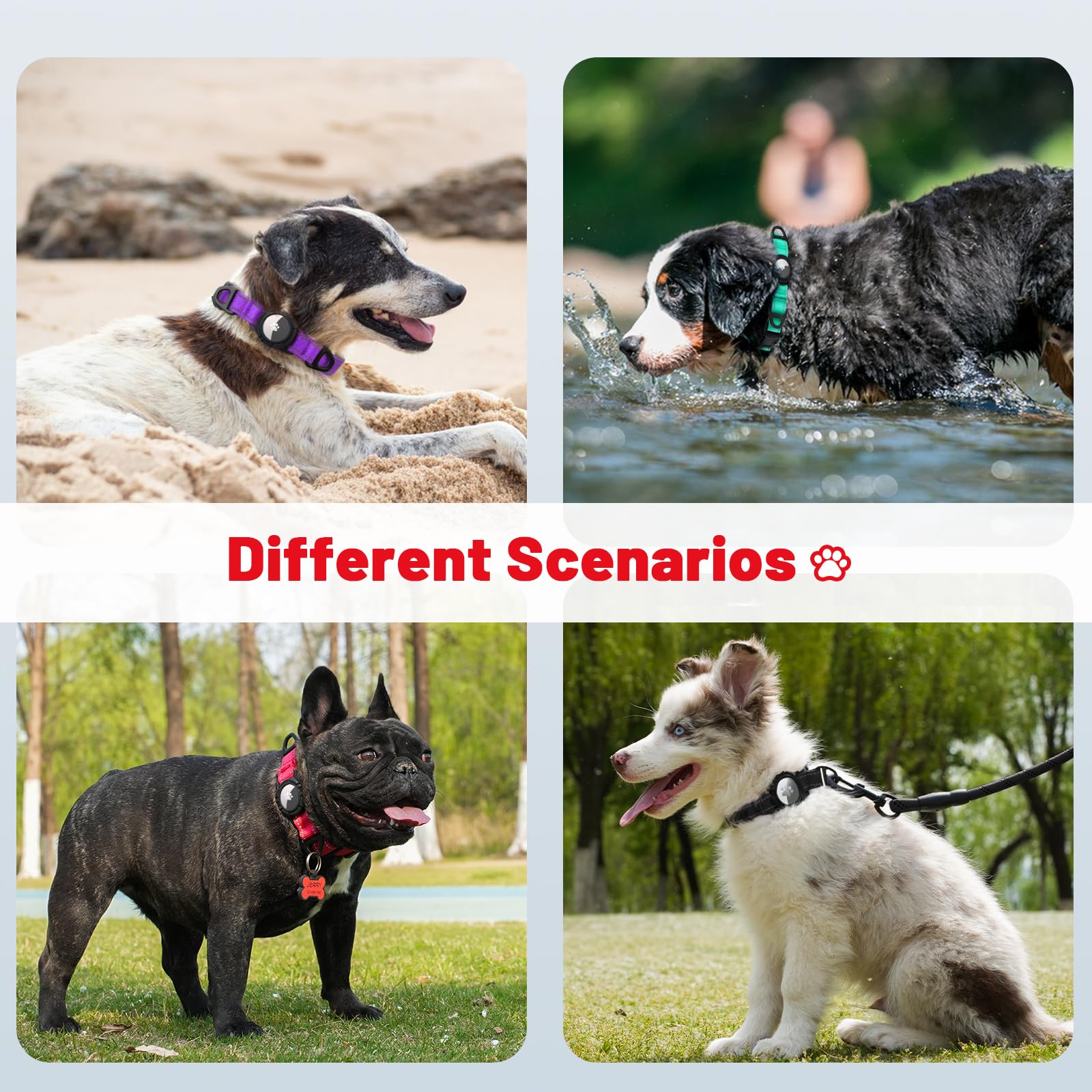 Taglory adjustable medium collar fits a range of dogs with comfort.