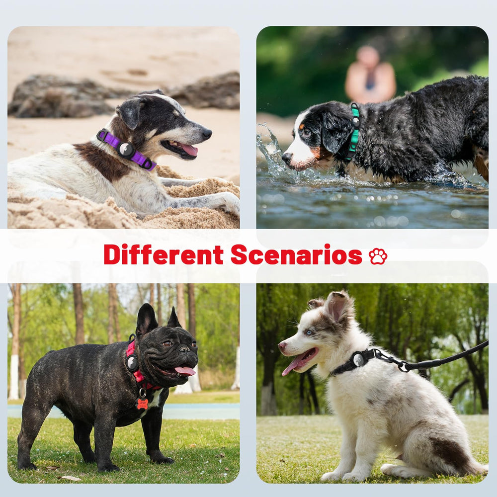 Taglory adjustable medium collar fits a range of dogs with comfort.