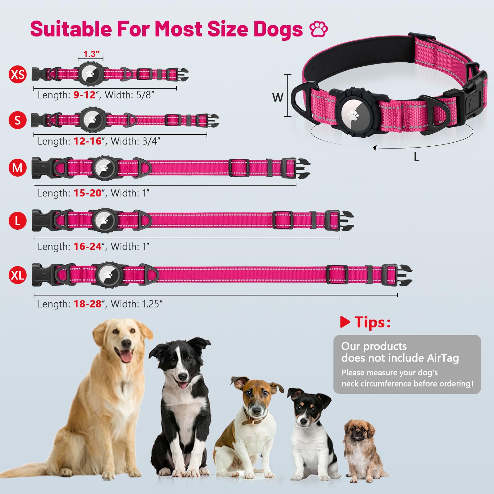 Taglory adjustable XS collar in pink suits small dogs precisely.