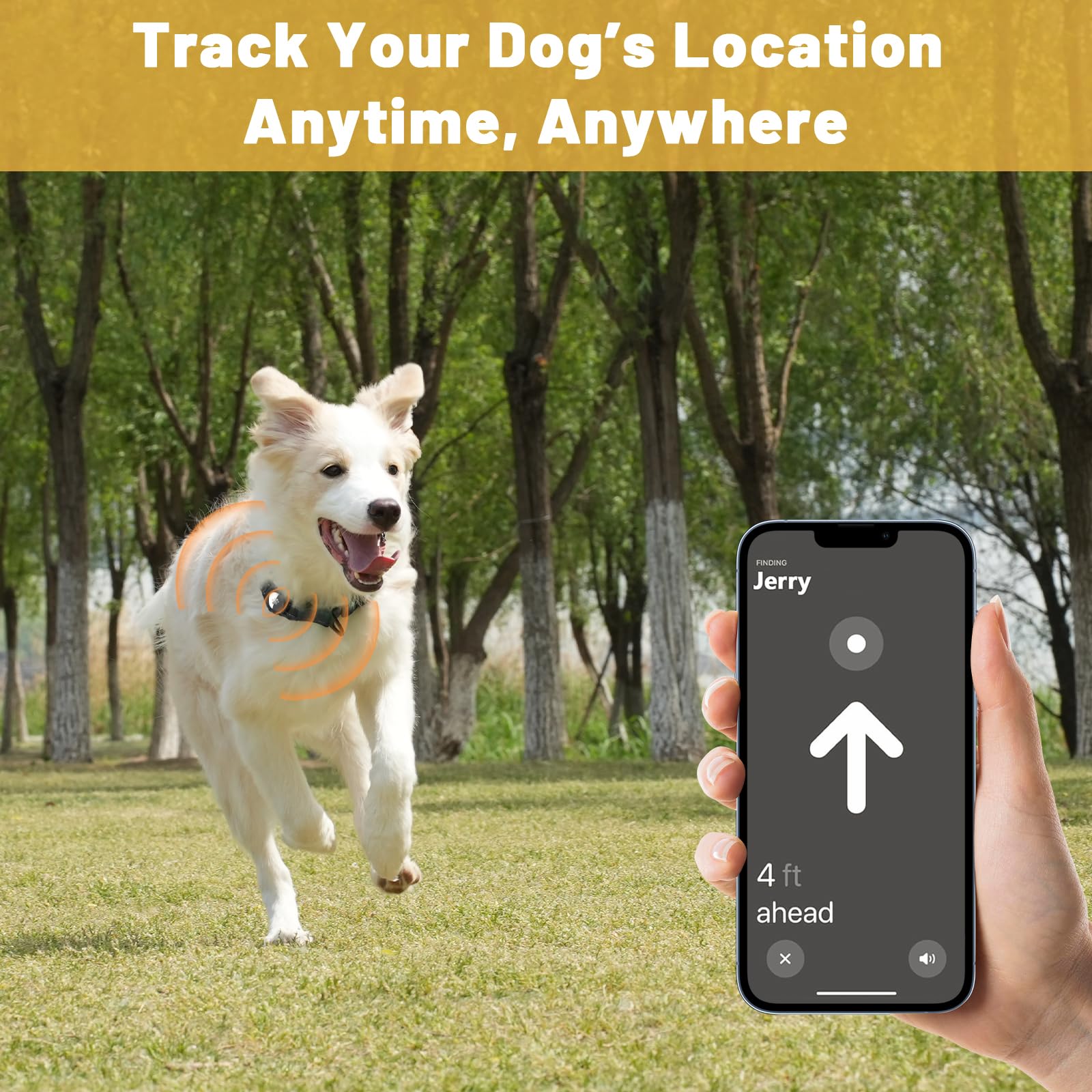 Taglory airtag holder on collar showcases secure location tracking on your phone.