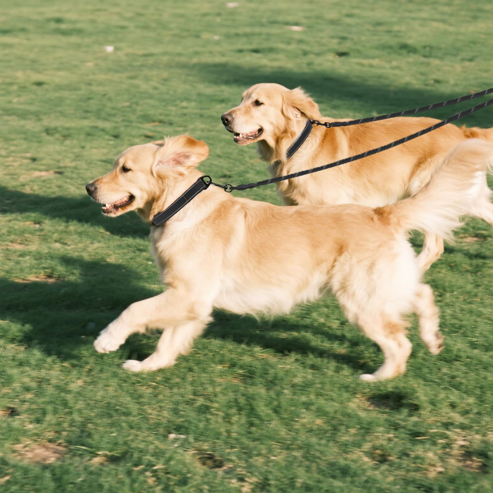 Taglory black two-dog leash ideal for urban strolls and parks.