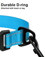 Taglory collar chrome D-ring for leash and ID tags