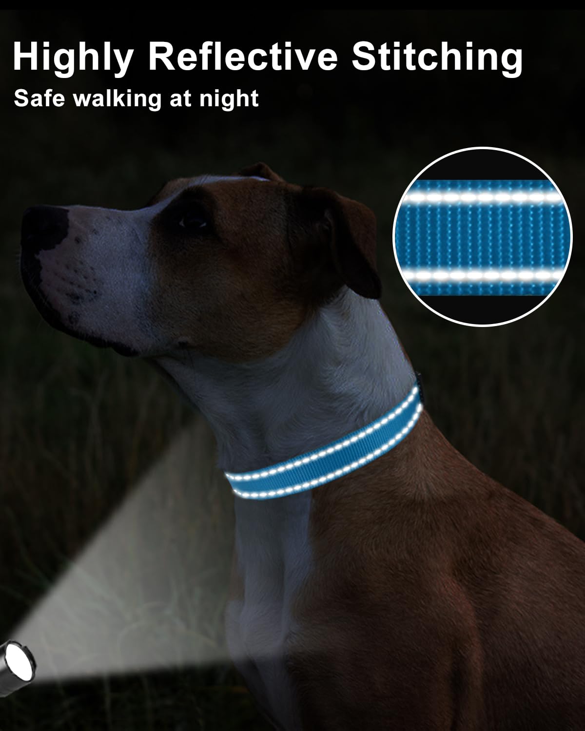 Taglory machine washable collar stays clean and fresh