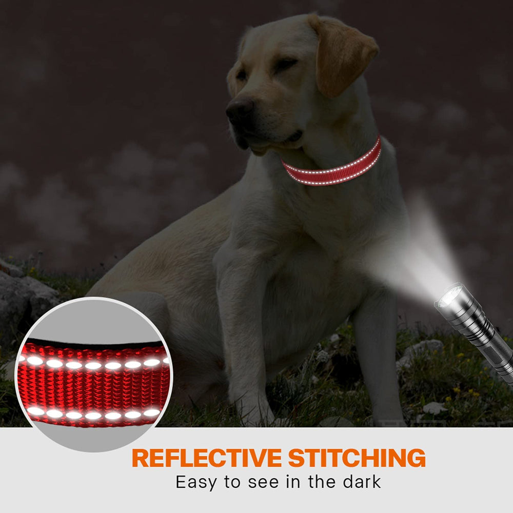 Taglory-d-ring-leash-attachment enables secure leash and tag connections.