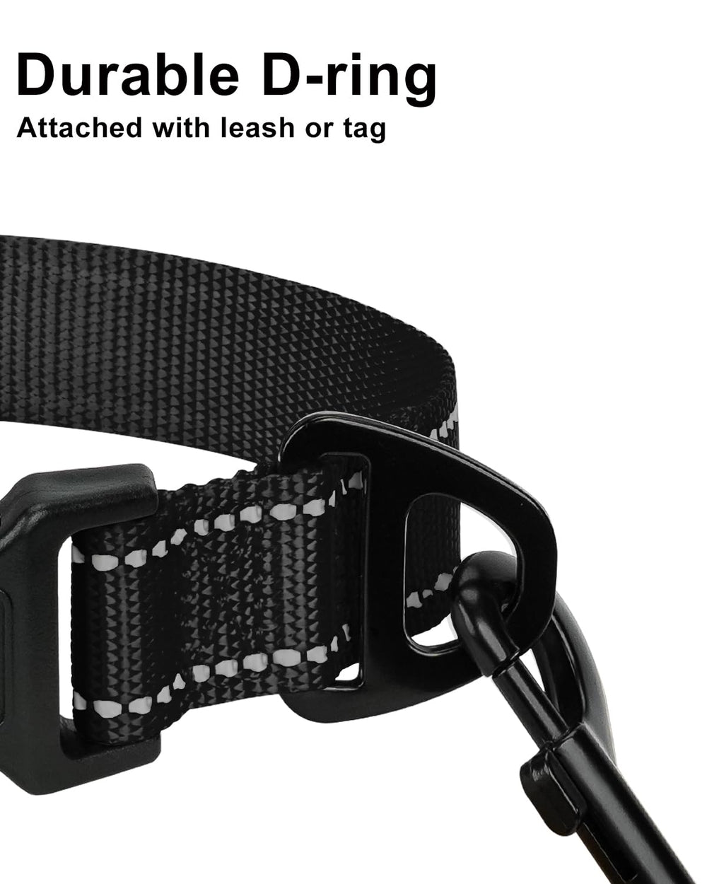 Taglory D-Ring Connection provides secure leash and ID tag attachment.