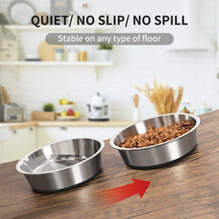 Taglory dishwasher-safe dog bowls for easy cleanup after meals.