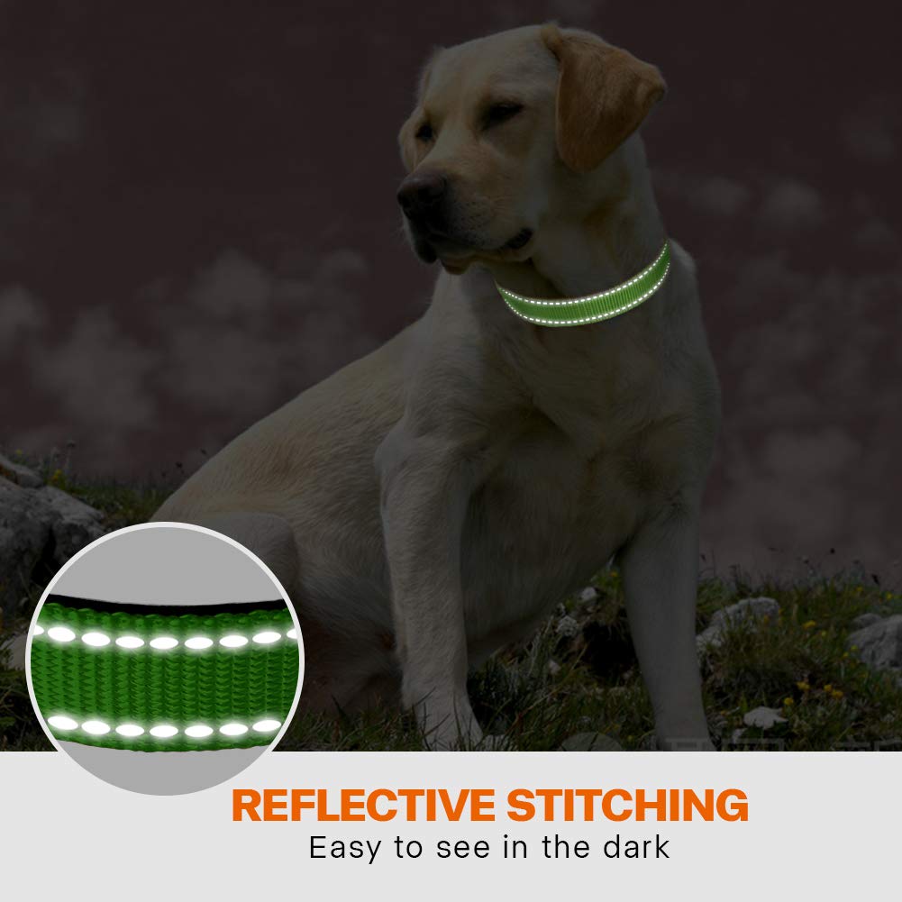 Taglory durable D-ring leash attachment on reflective collar for walks.