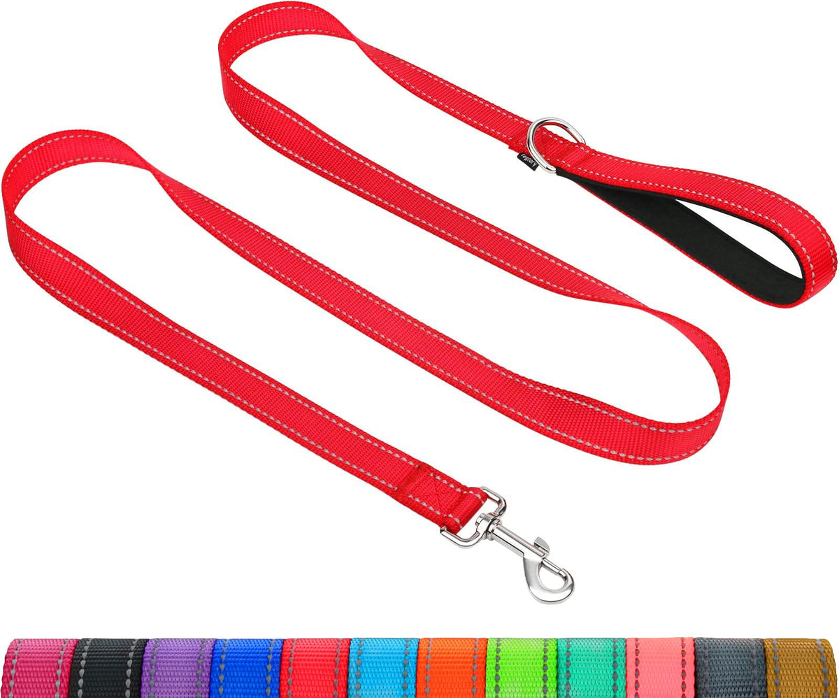 Taglory dog leash with double-sided reflective stitching improves safety during night walks.