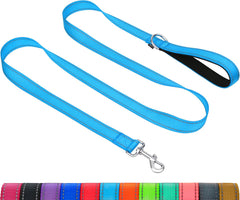 Taglory dog leash double-sided reflective for night walks improving visibility and safety.