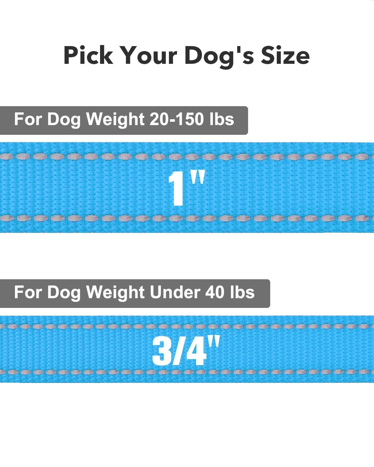 Taglory dog leash 2 mm nylon webbing ensures durability for daily use.