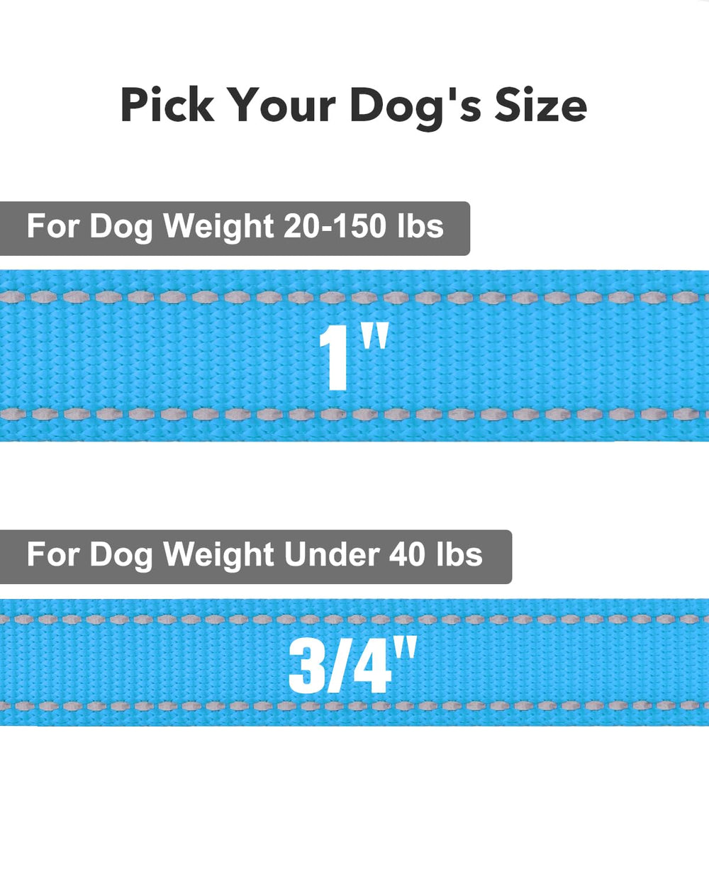 Taglory dog leash 2 mm nylon webbing ensures durability for daily use.