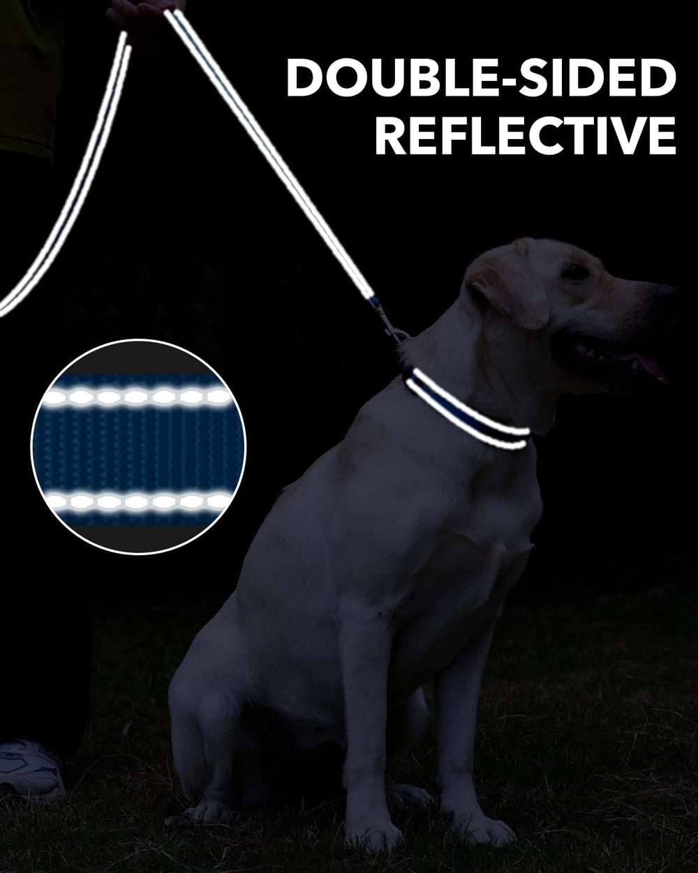 Taglory dog leash 5 ft length balances freedom and control for varied breeds.