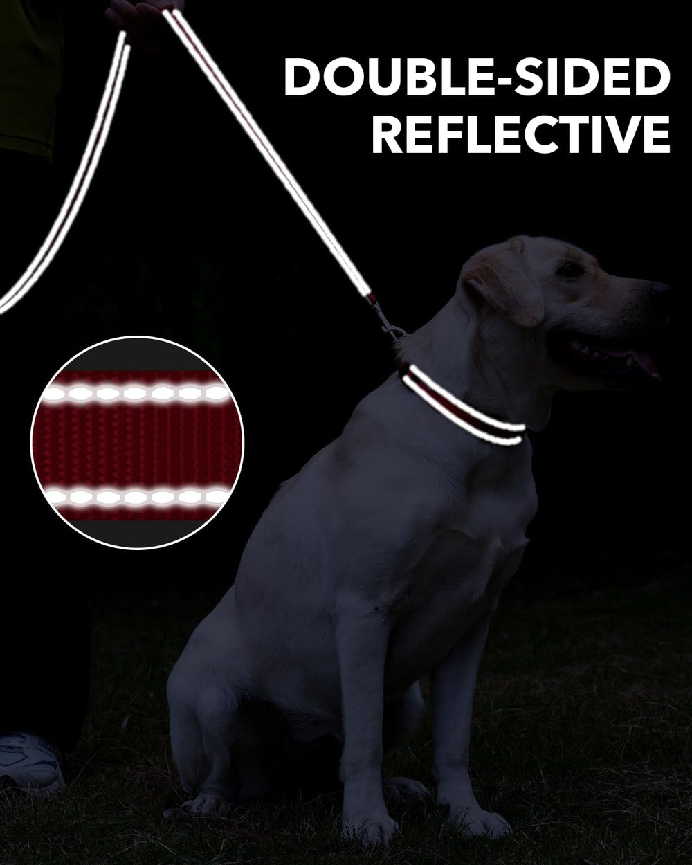 Taglory leash 4ft length suits small dogs for balanced control.