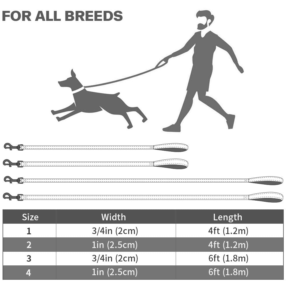 Taglory leash 6ft length offers extra reach for larger breeds.