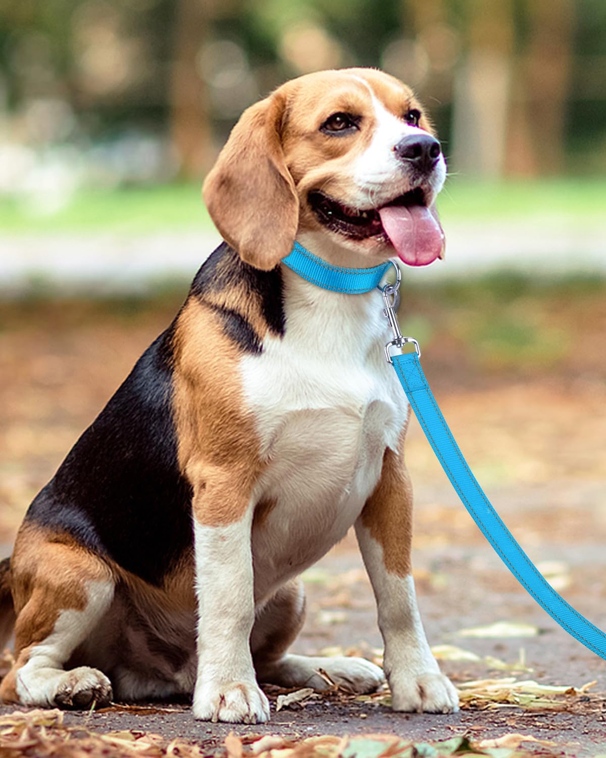 Taglory dog leash sky blue color adds visibility and style to walks.