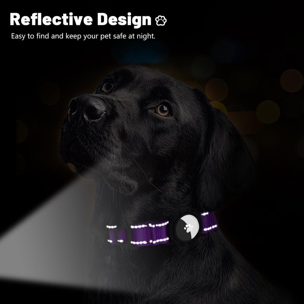 Taglory dual-d-rings-buckle-purple-xl demonstrates secure leash and tag attachment.