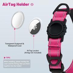 Taglory dual D-rings collar highlights secure leash and IDs during active play.